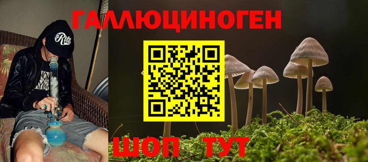 Сунжа  закладка  Вход с VPN  Галлюциногенные грибы мухоморы  Псилоцибиновые грибы мицелий 