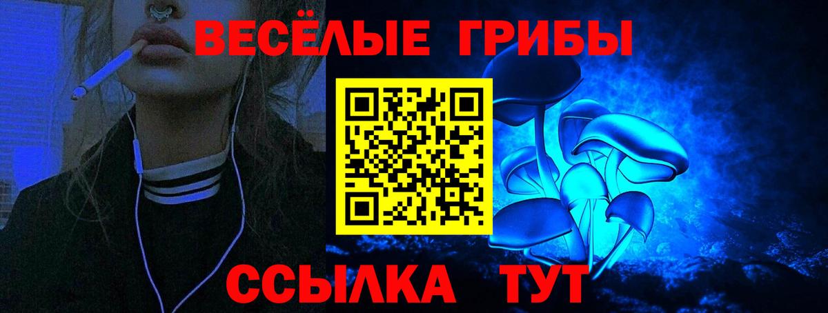 Галлюциногенные грибы Psilocybine cubensis Сунжа