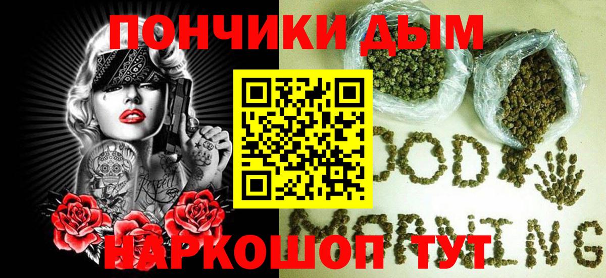 Сунжа  Конопля планчик  Вход с VPN  Канабис марихуана  Бошки марихуана Bruce Banner 